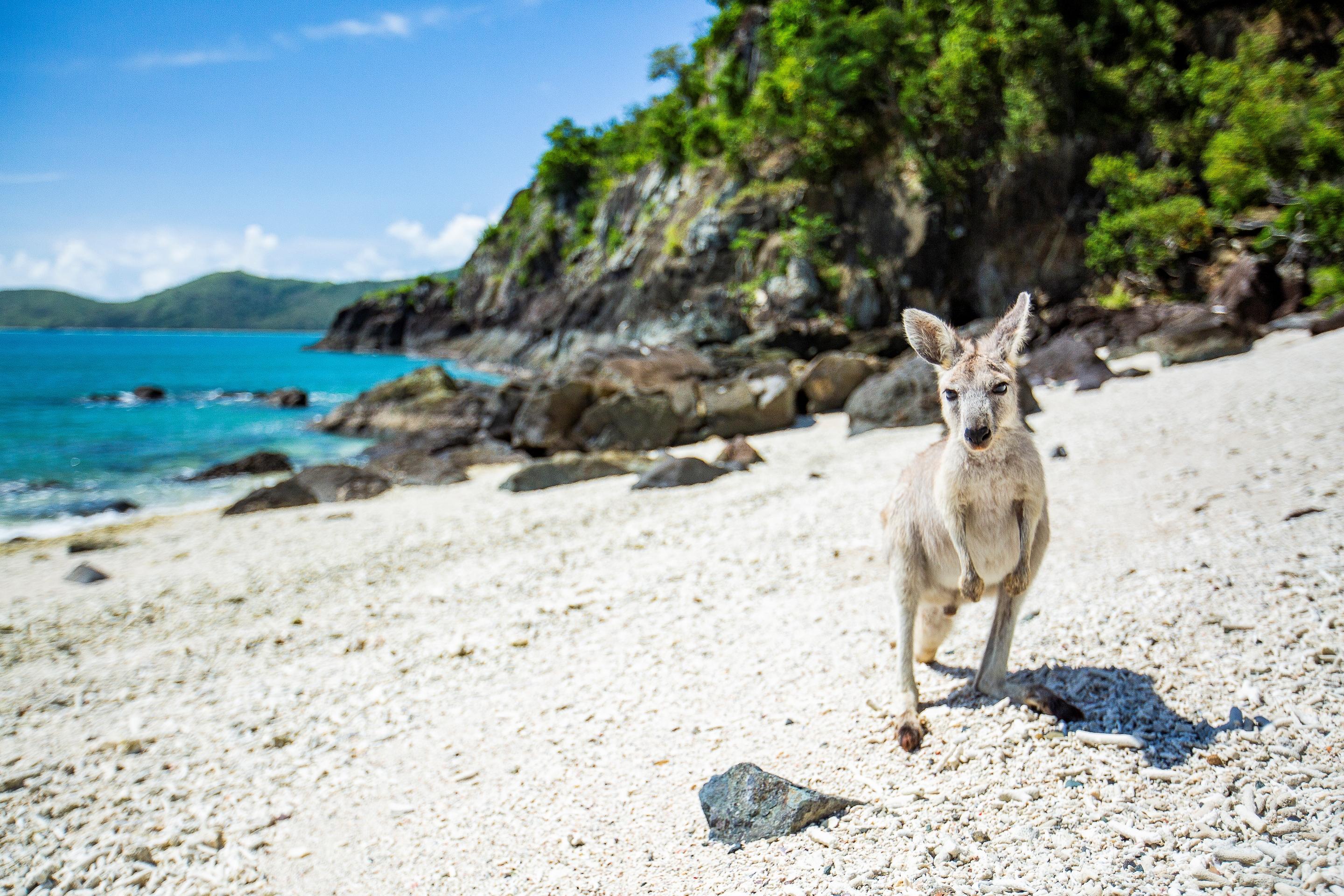Daydream Island Resort Exteriér fotografie